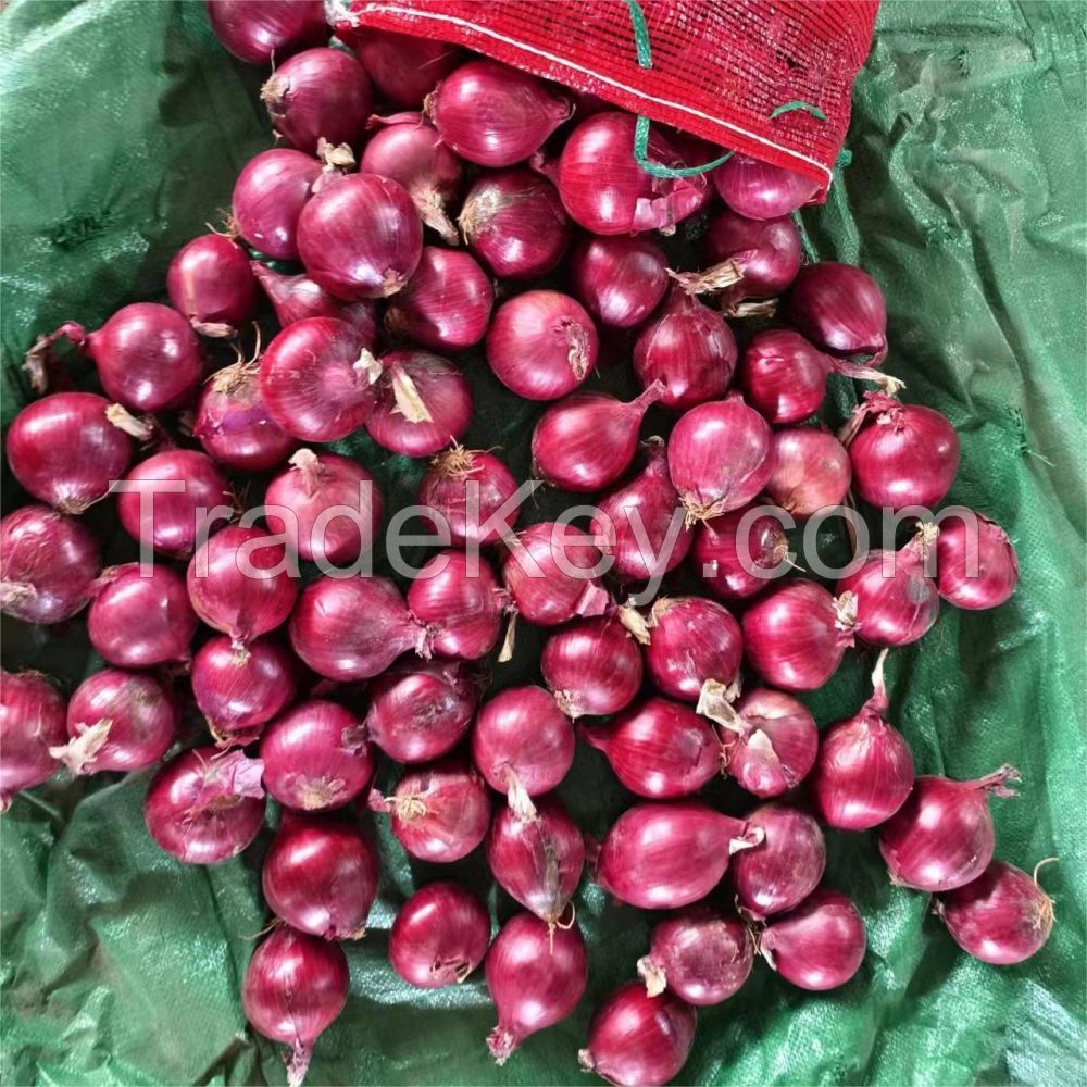 2024 New Crop Fresh Red Onions And Yellow Onion White Price Per Ton In China From Onion Seeds Exporter