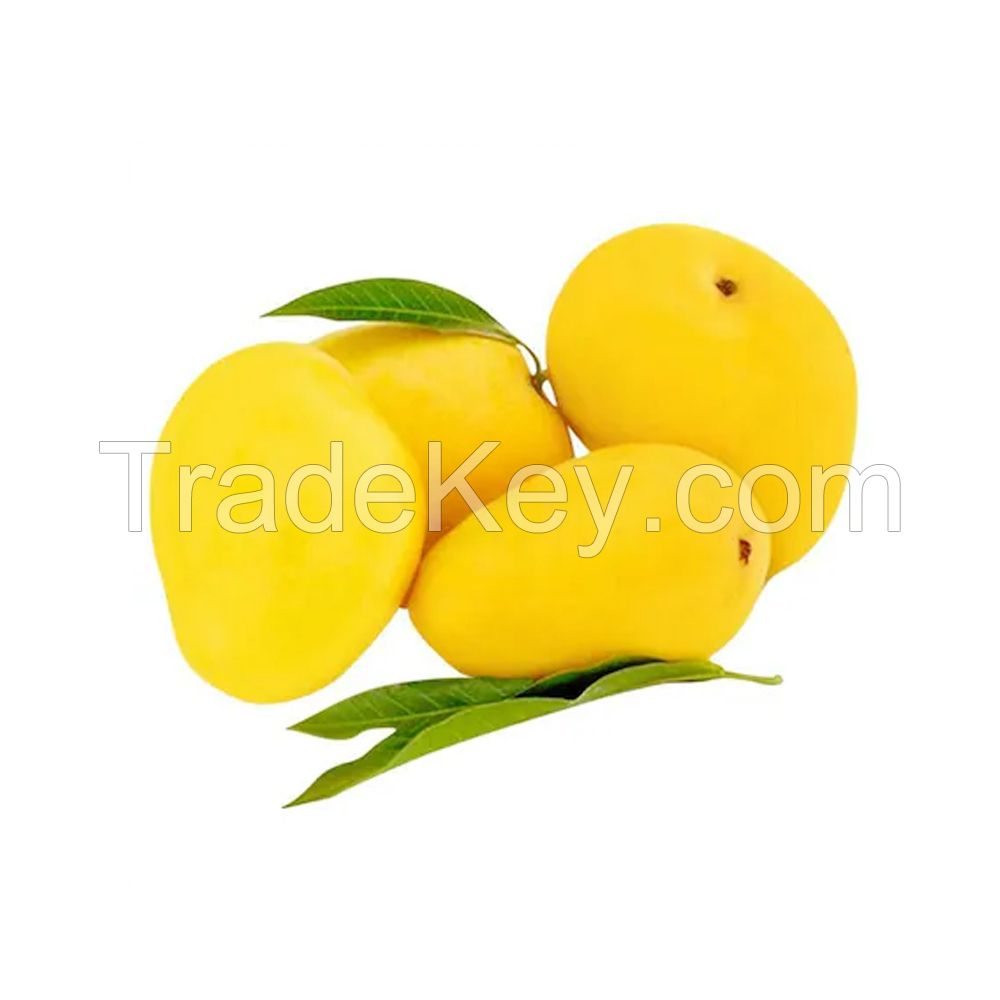 Alphonso mango Export From Vietnam Fresh mango
