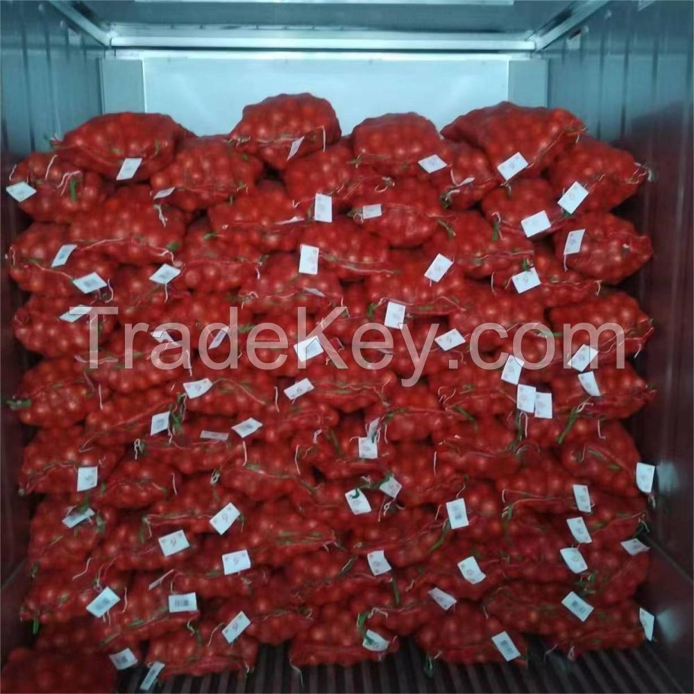 2024 New Crop Fresh Red Onions And Yellow Onion White Price Per Ton In China From Onion Seeds Exporter