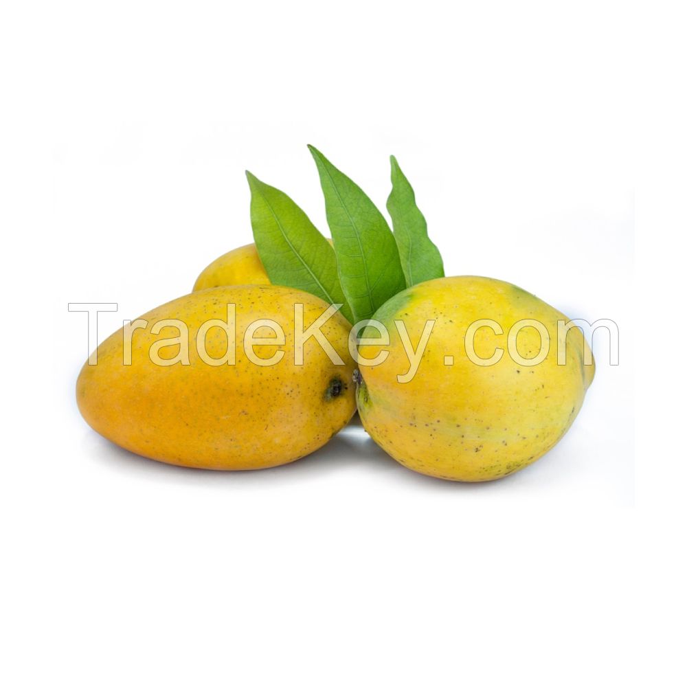 Alphonso mango Export From Vietnam Fresh mango
