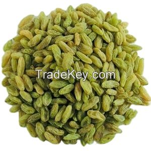 Dry Fruit Green Yellow Grape Seedless Dried Raisins