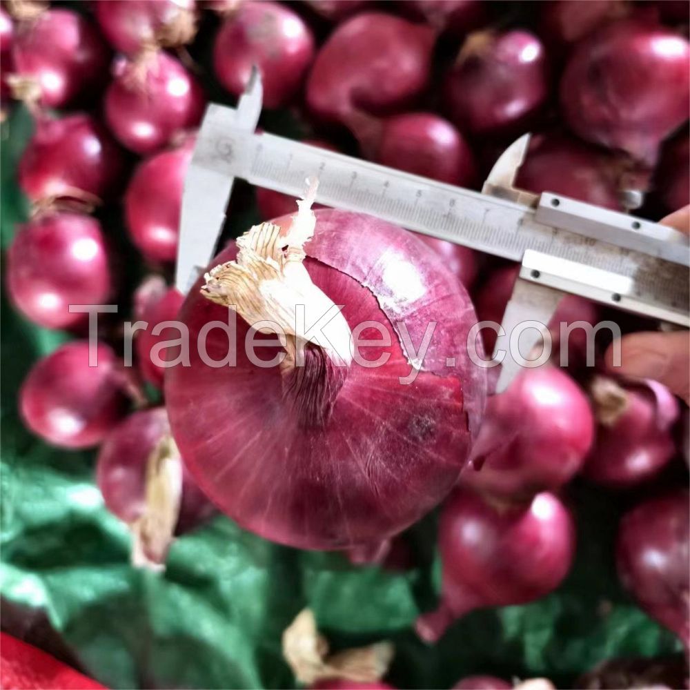 2024 New Crop Fresh Red Onions And Yellow Onion White Price Per Ton In China From Onion Seeds Exporter