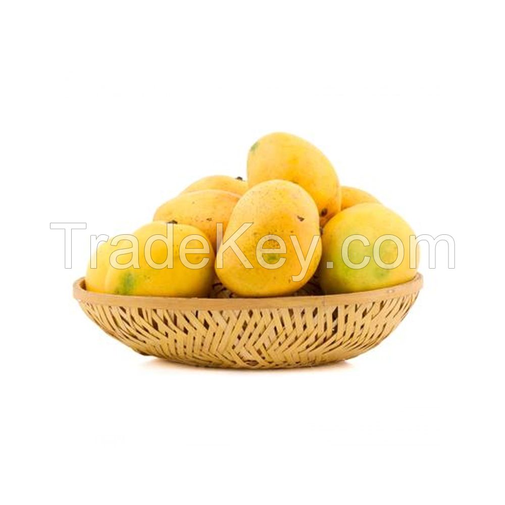 Alphonso mango Export From Vietnam Fresh mango
