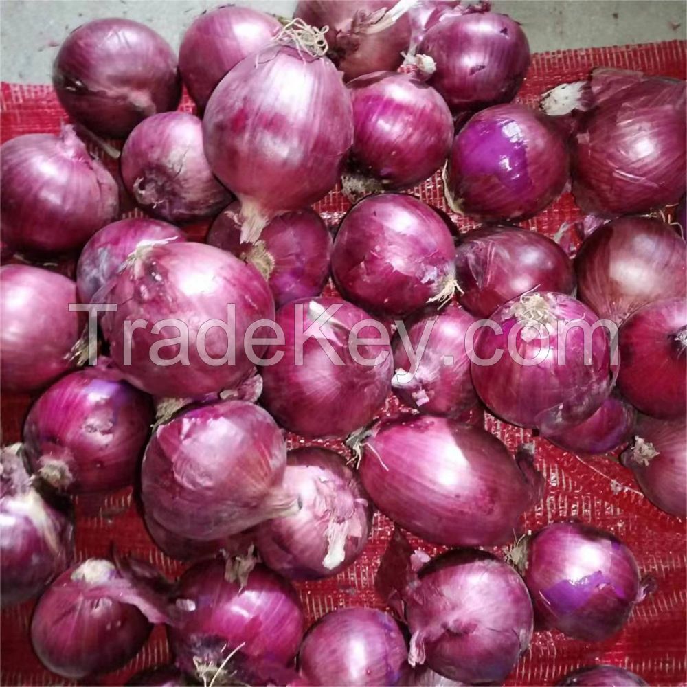2024 New Crop Fresh Red Onions And Yellow Onion White Price Per Ton In China From Onion Seeds Exporter
