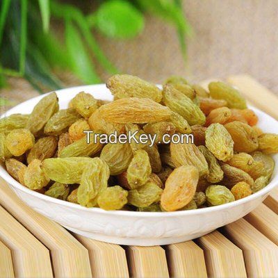 Dry Fruit Green Yellow Grape Seedless Dried Raisins