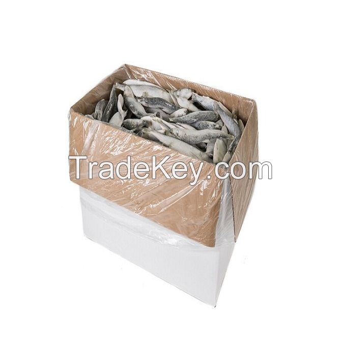 100-200g Frozen Mackerel Fishes Prices