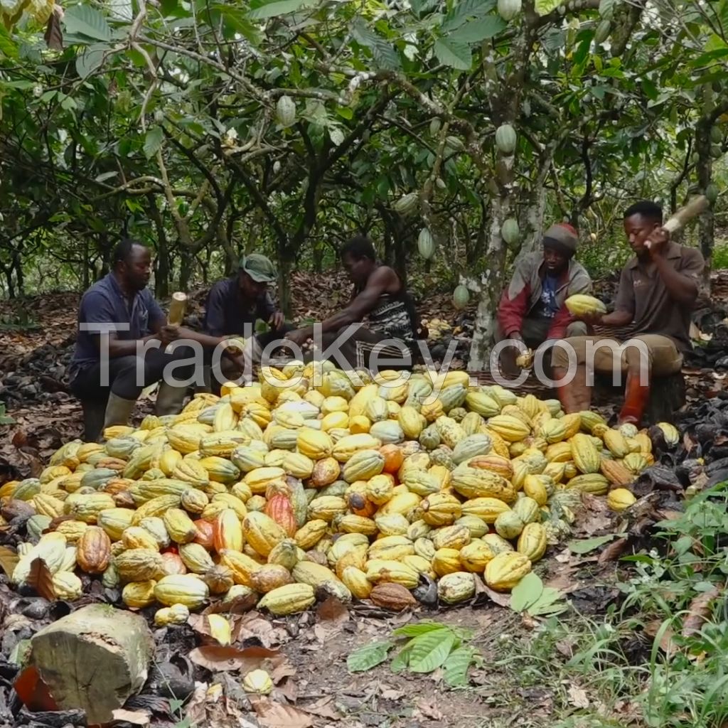 Organic Raw Cocoa Butter Raw Bulk Supplier, 1kg, Food Grade Unrefined Cacao Butter Vegan for Chocolate