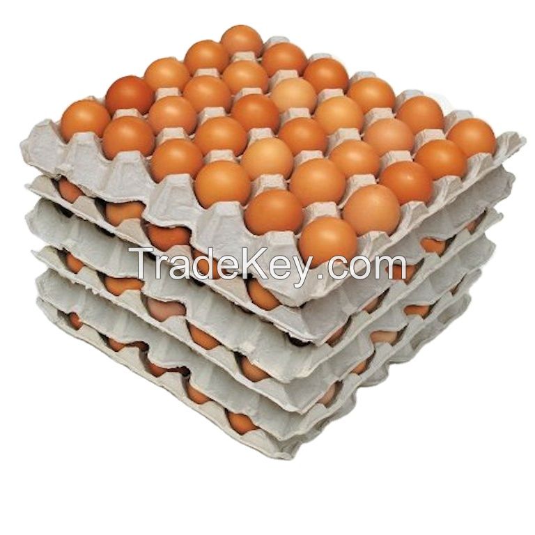 Buy Cobb 500 Broiler Chicken Fertilized Eggs Fresh White Brown Table Eggs Preserved Style for China Market