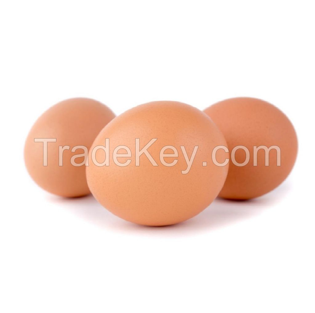 Buy Cobb 500 Broiler Chicken Fertilized Eggs Fresh White Brown Table Eggs Preserved Style for China Market