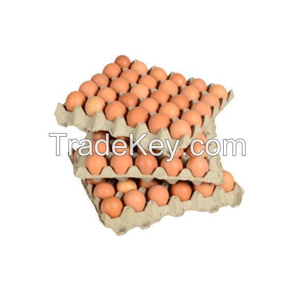 Buy Cobb 500 Broiler Chicken Fertilized Eggs Fresh White Brown Table Eggs Preserved Style for China Market