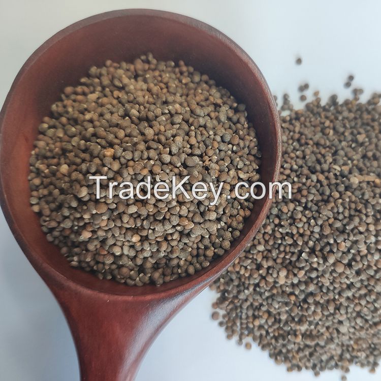 2021 crop market price perilla seeds