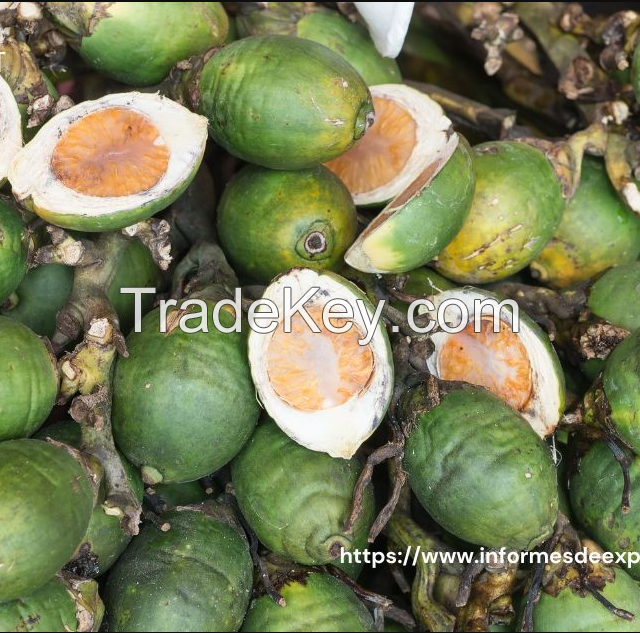 Betel nuts