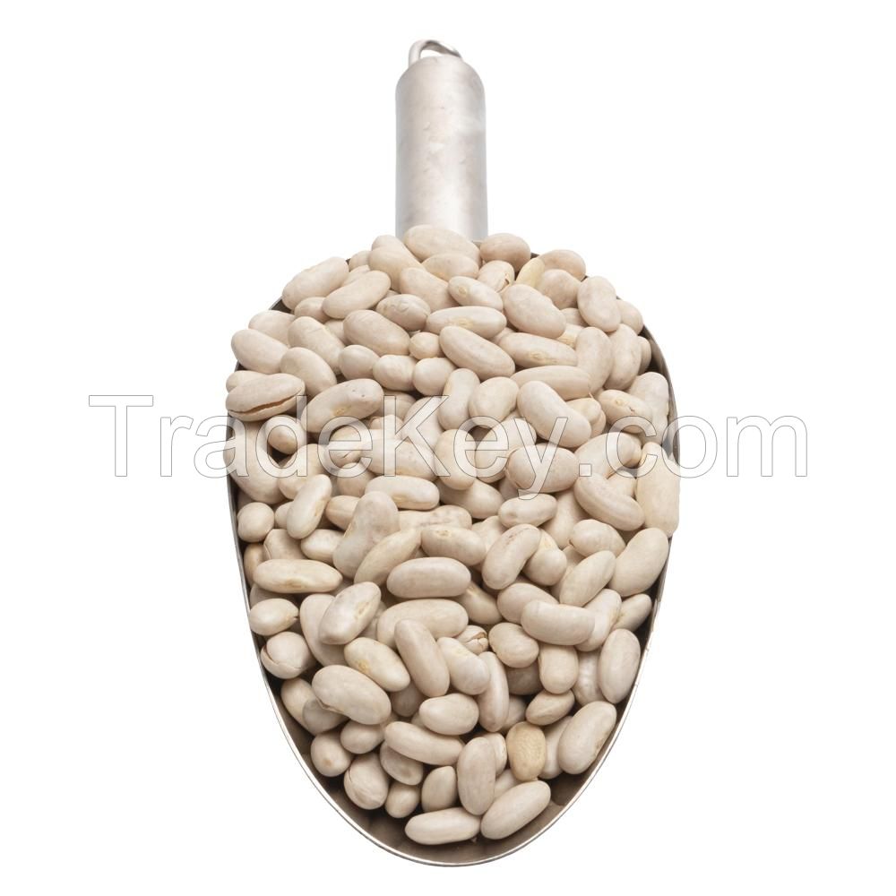 White Kidney Beans