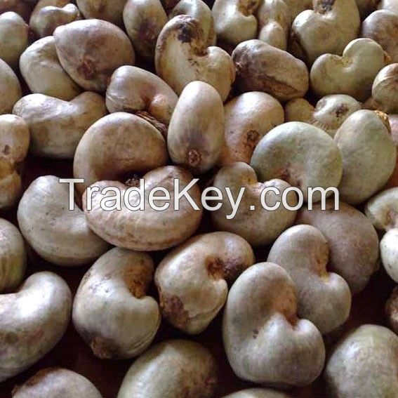 Cashew Nuts