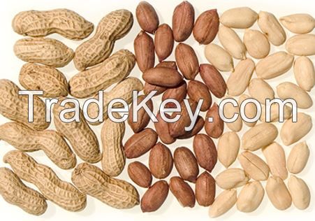 Best Selling Peanut, Ground nut