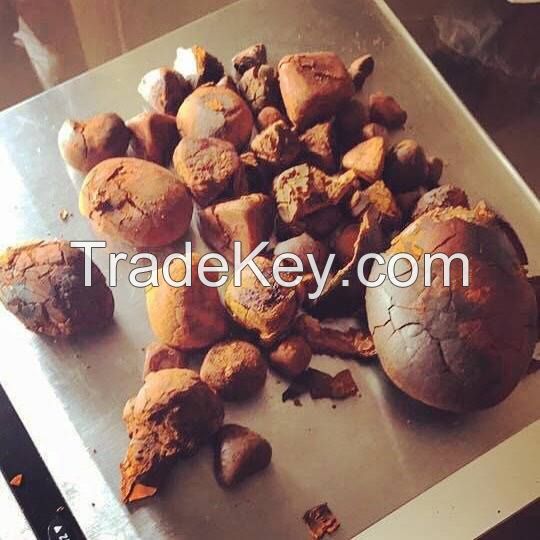 Buy Ox Gallstones / Buy Cattle Gallstones / Human Gallstones 