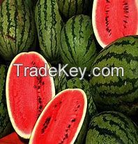 Fresh Water Melon