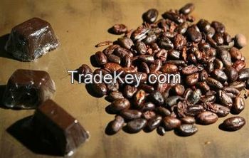 High Quality Vietnam Cocoa Beans 100% Natural 