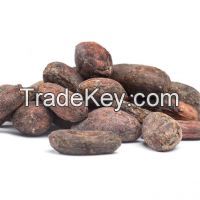 High Quality Vietnam Cocoa Beans 100% Natural 