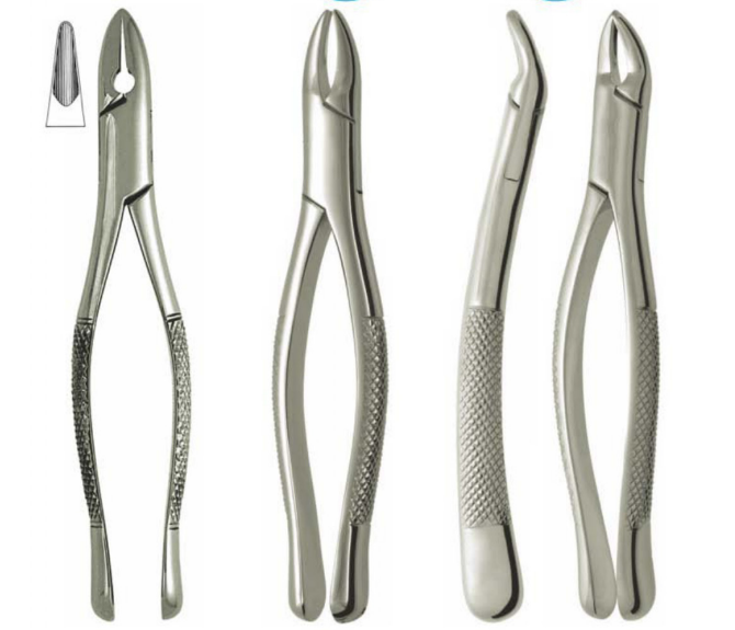 Extracting Forceps