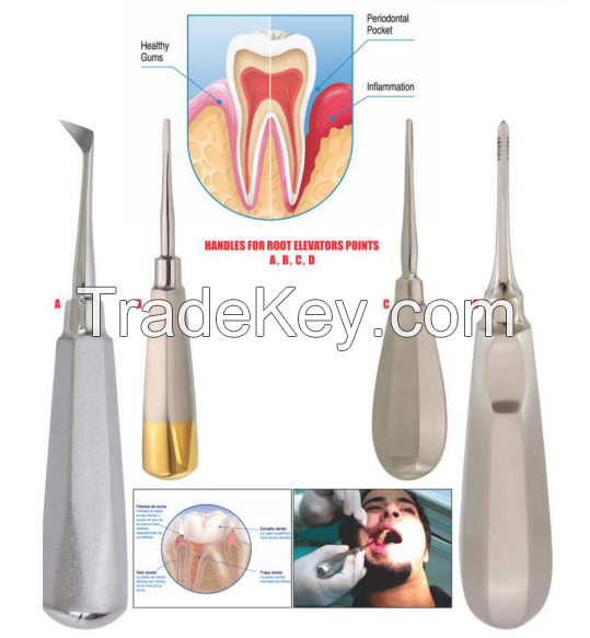 Dental Instruments -Root Elevator