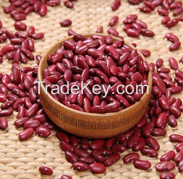 Red Kidney beans