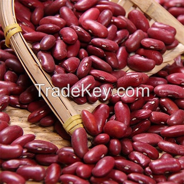 Red Kidney beans