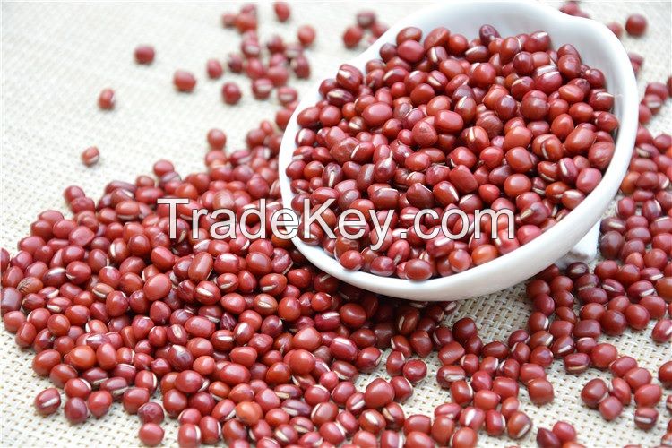 Adzuki Beans