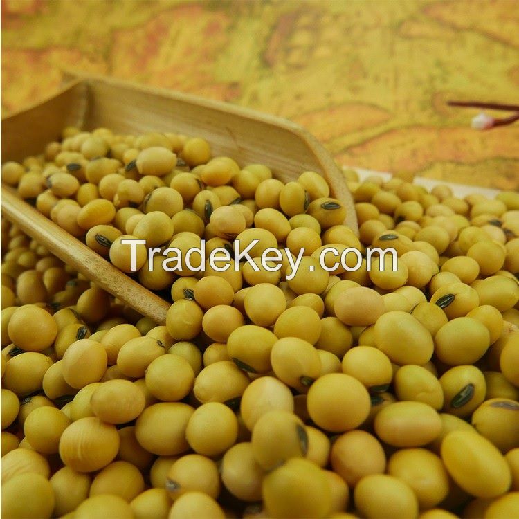 Top Grade Soybean seeds