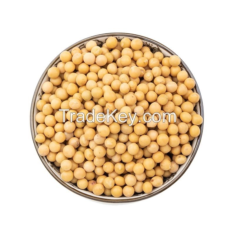 Top Grade Soybean seeds