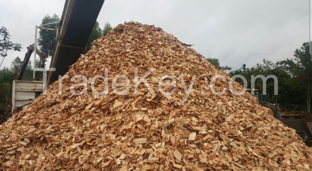 Best Quality Wood chips