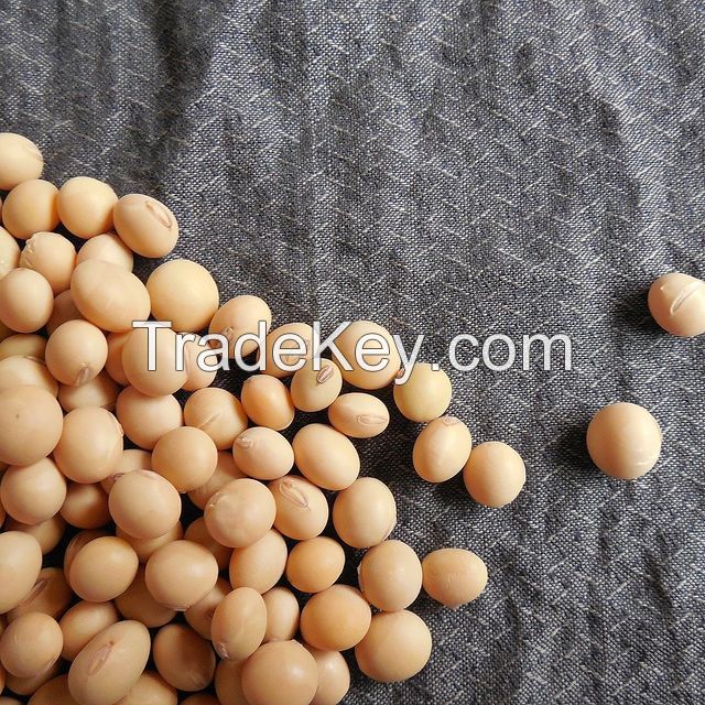 Bulk soybeans for export