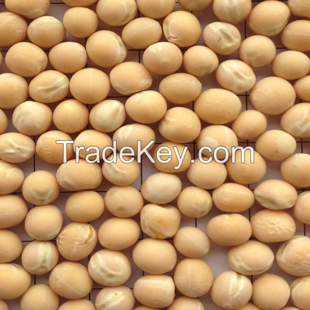 Soybeans