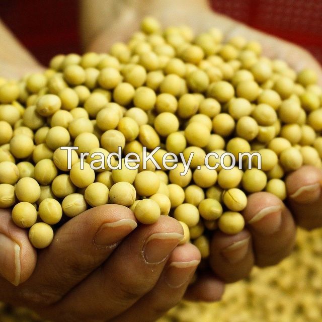 Soybeans