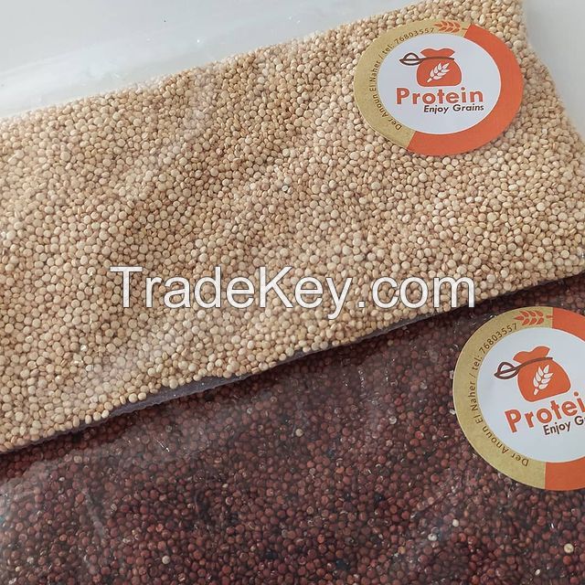 Quinoa seeds for export