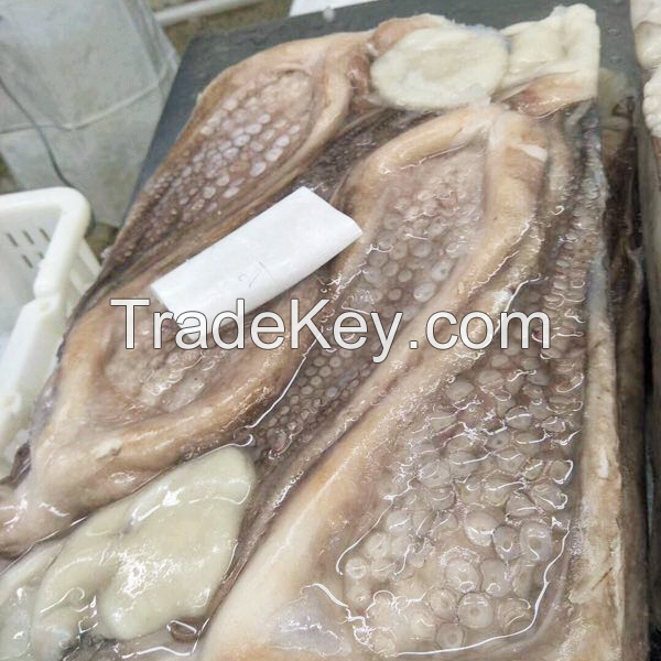 Frozen Octopus