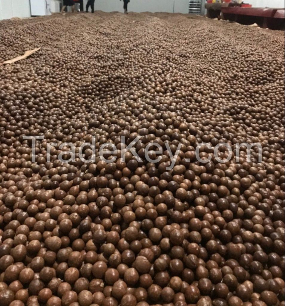 Organic Raw Whole Macadamia Nuts