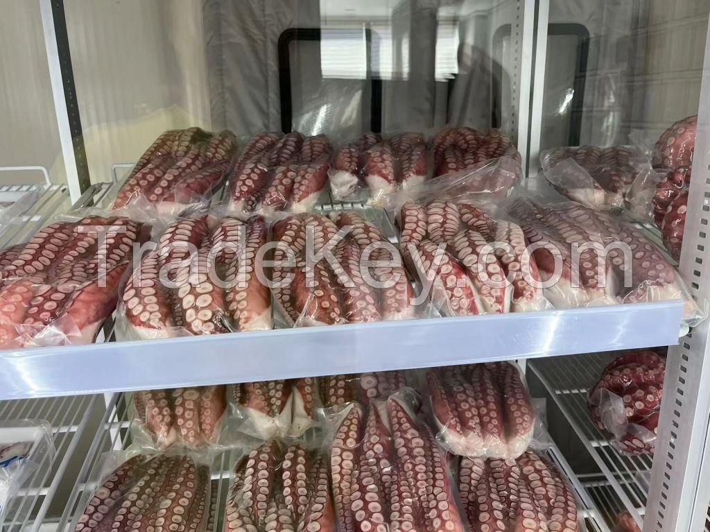 Frozen Octopus