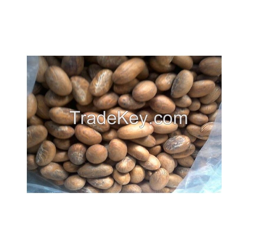 Bitter Kola Nuts, Bulk Export for Medicinal and Herbal Use