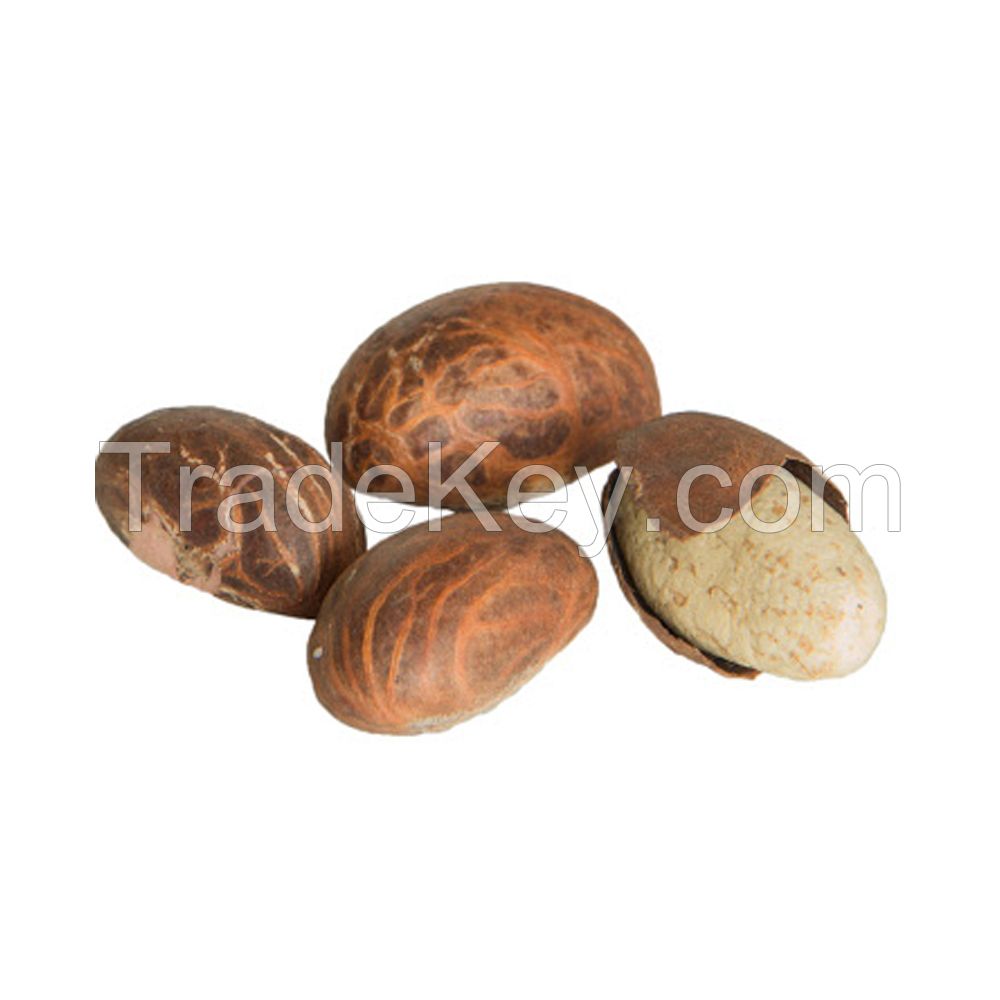 Bitter Kola Nuts, Bulk Export for Medicinal and Herbal Use