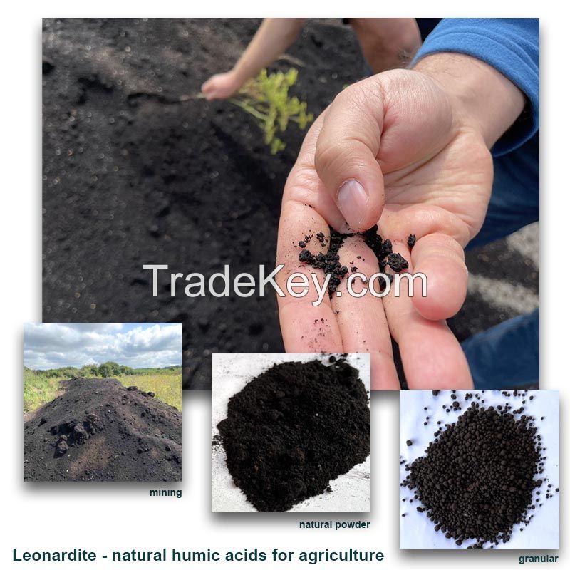 Raw Leonardite - source of Humic acids