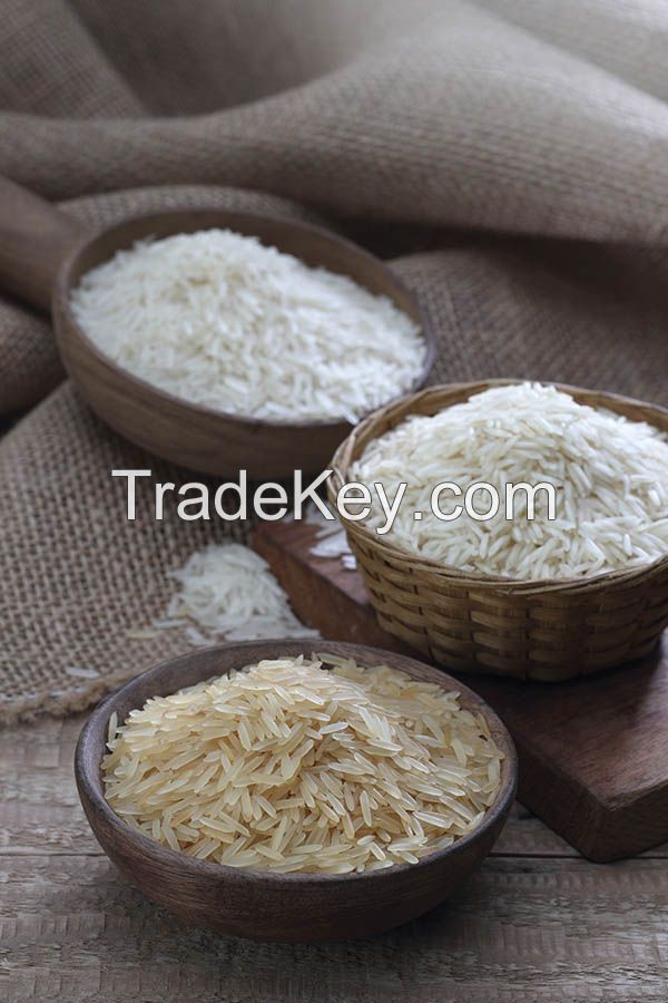 Fresh Basmati Rice