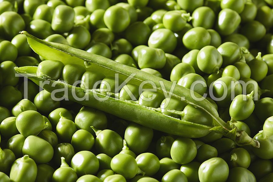 Fresh Peas