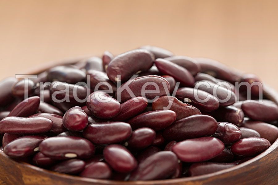 Fresh Kidney Beans