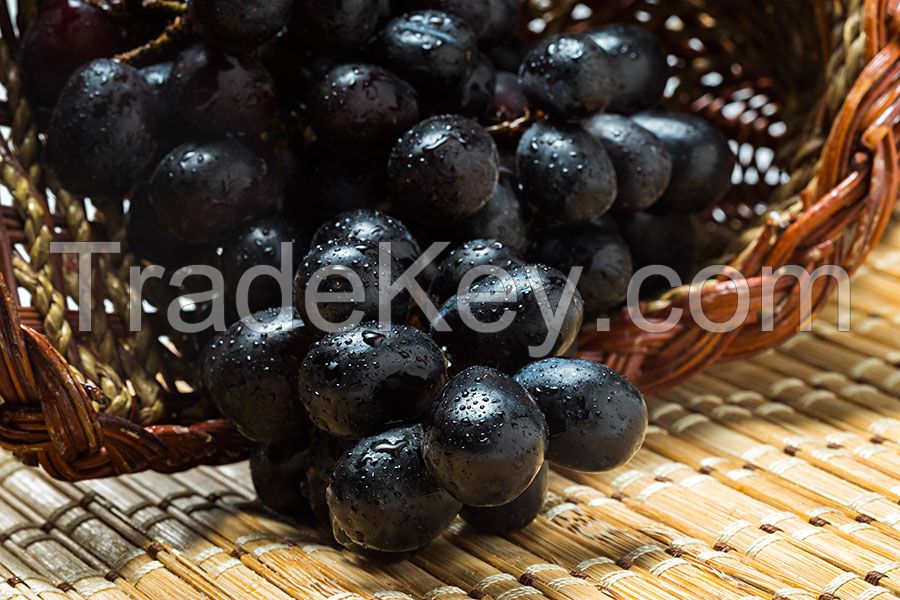 Black Grapes