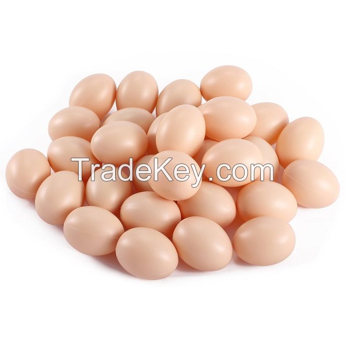 Fertilized Chicken Eggs/ Cobb 500 Broiler Chicken Eggs/Fresh Cobb 700 Fertile eggs