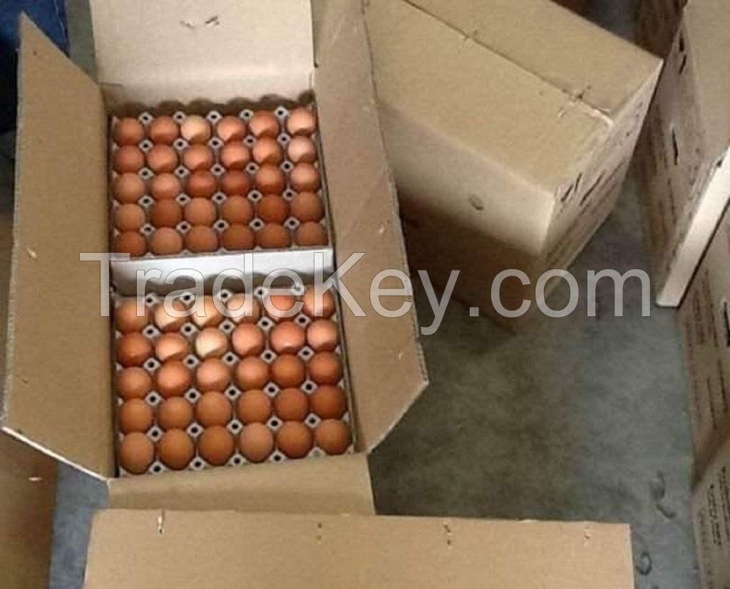 Fertilized Chicken Eggs/ Cobb 500 Broiler Chicken Eggs/Fresh Cobb 700 Fertile eggs