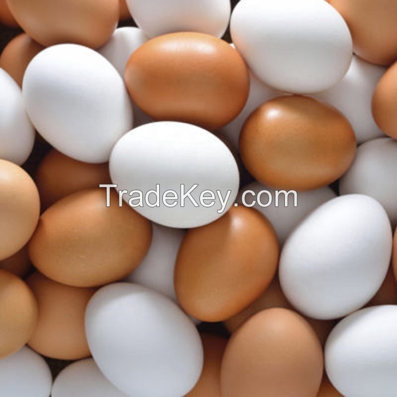 Fertilized Chicken Eggs/ Cobb 500 Broiler Chicken Eggs/Fresh Cobb 700 Fertile eggs