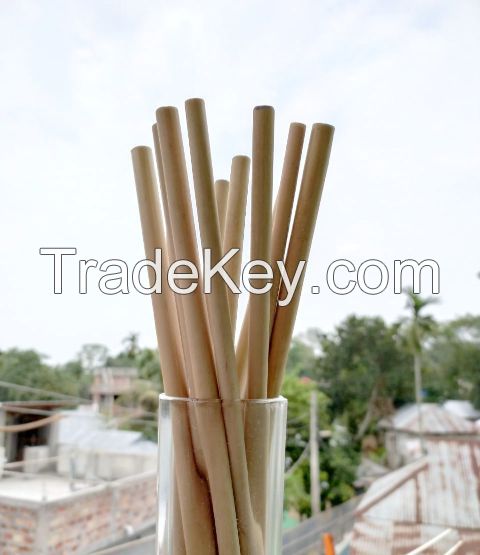 Bamboo Straw