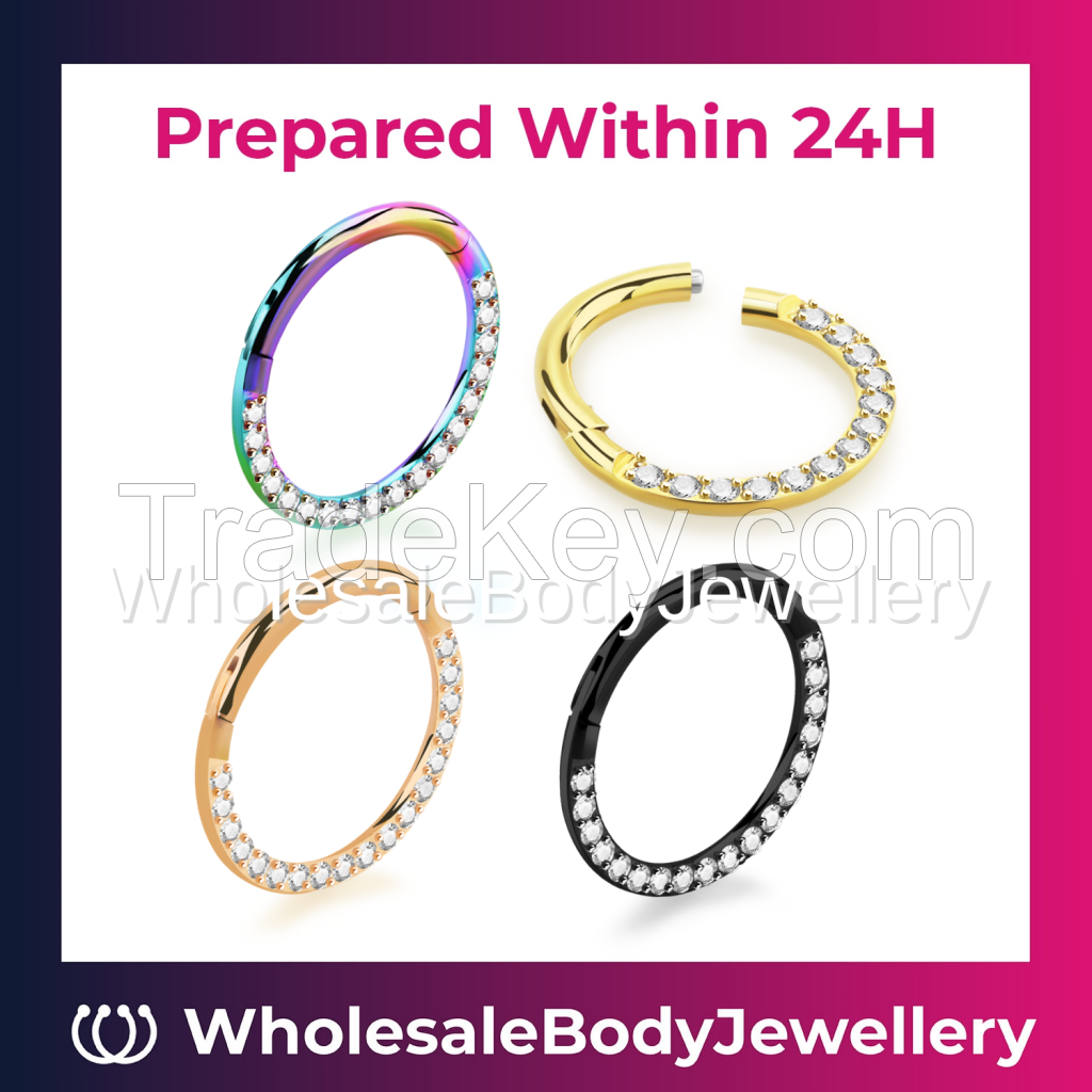 Wholesale PVD Anodized Hinged Segment Rings